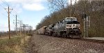 NS 4561